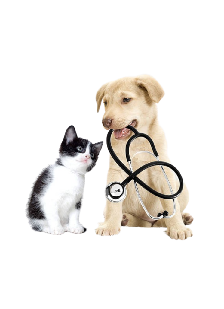 Pet Wellness Services